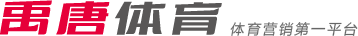 球竞技场上
