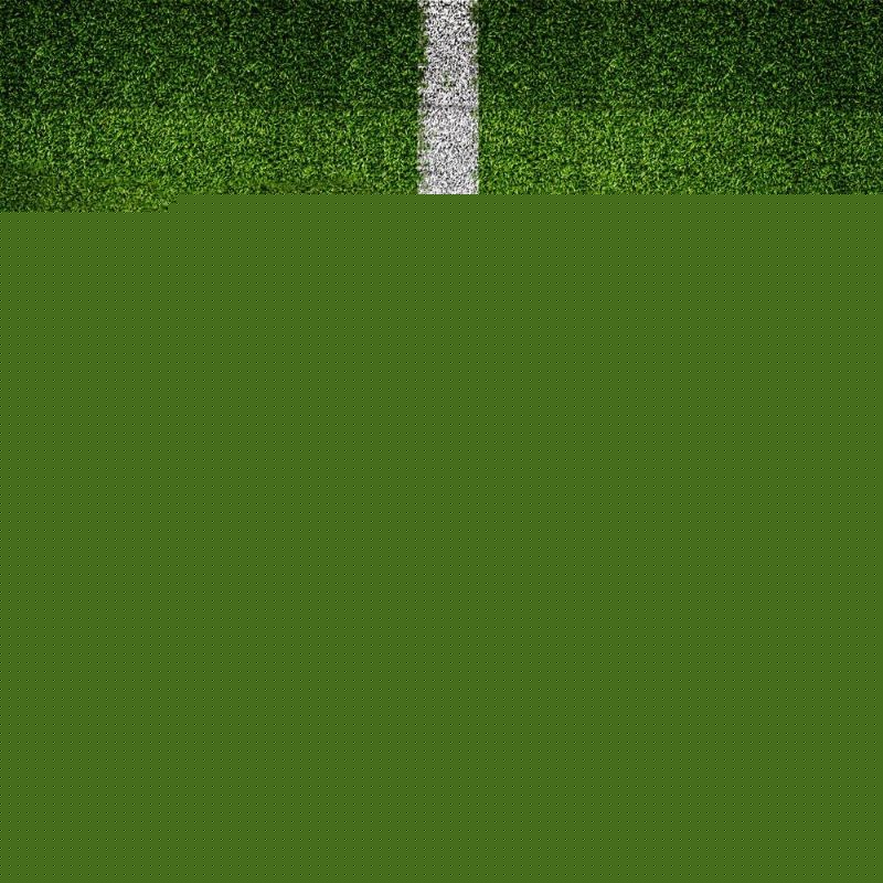 念不谋而合 念不谋而合