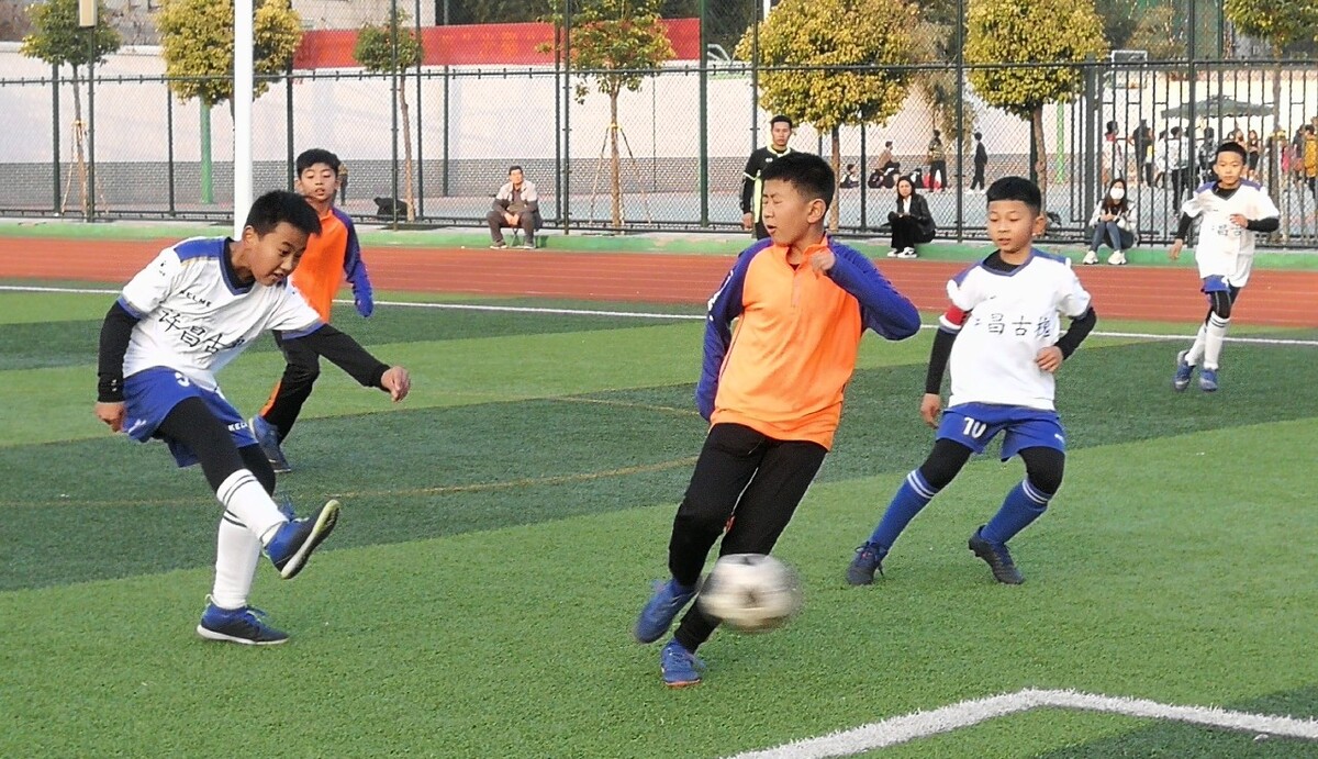 期内可能投 期内可能投